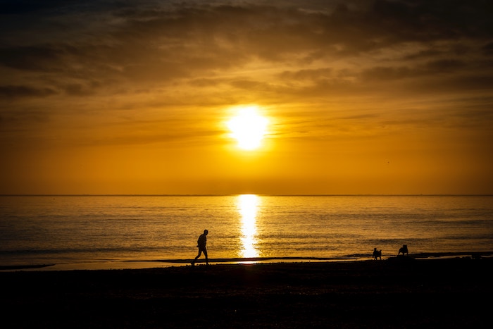 Man walking on the beach during sunset