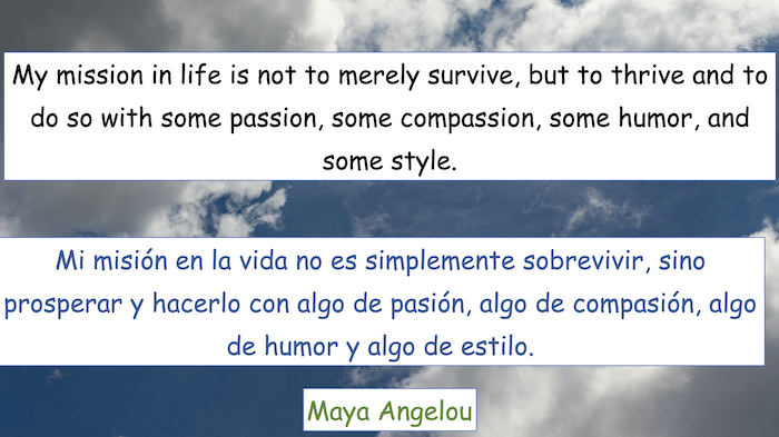My mission in life is not to merely survive, but to thrive and to do so with some passion, some compassion, some humor, and
some style.