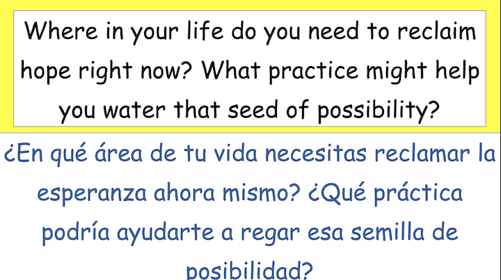 Where in your life do you need to reclaim hope right now? What practice might help you water that seed of possibility?