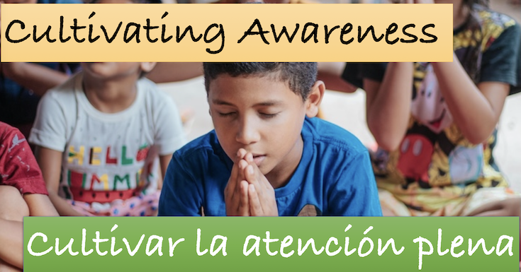 Cultivating Awareness