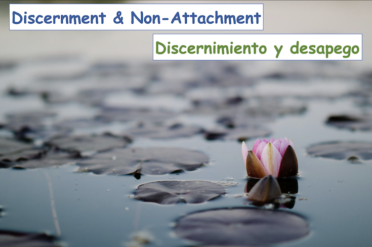 Discernment and Non-Attachment