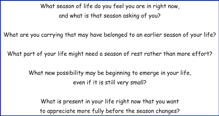 What season of life do you feel you are in right now,
and what is that season asking of you?
What are you carrying that may have belonged to an earlier season of your life?
What part of your life might need a season of rest rather than more effort? What new possibility may be beginning to emerge in your life,
even if it is still very small? What is present in your life right now that you want
to appreciate more fully before the season changes?