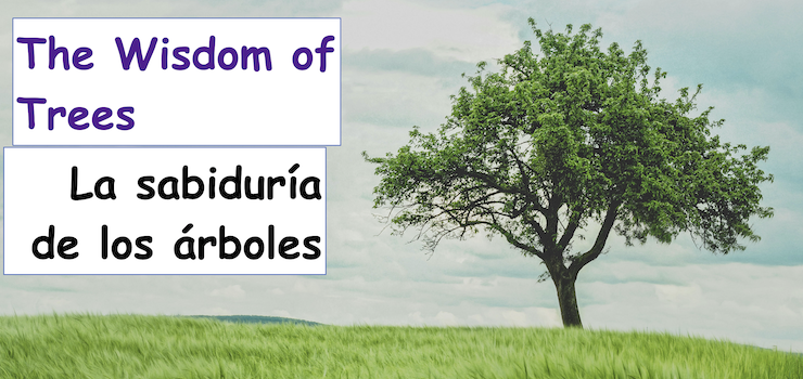 The Wisdom of Trees