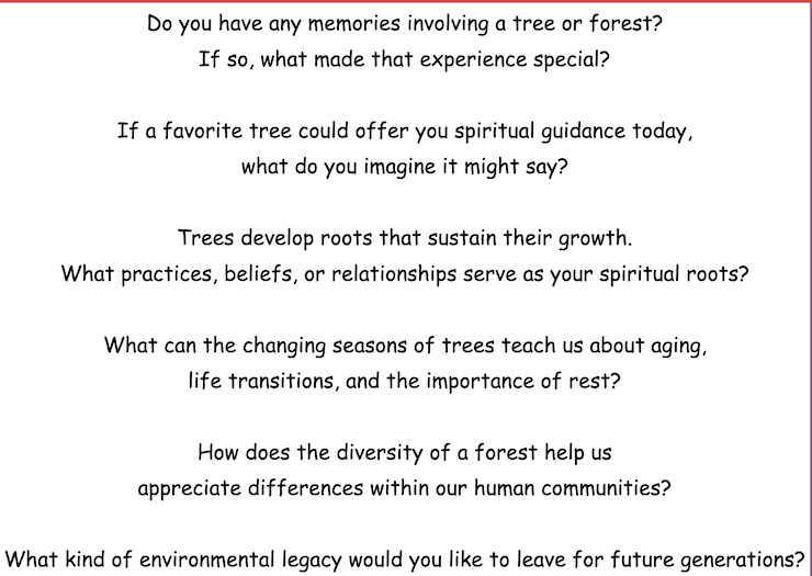 Do you have any memories involving a tree or forest?
If so, what made that experience special? If a favorite tree could offer you spiritual guidance today.
what do you imagine it might say?
Trees develop roots that sustain their growth.
What practices, beliefs, or relationships serve as your spiritual roots? What can the changing seasons of trees teach us about aging,
life transitions, and the importance of rest? How does the diversity of a forest help us
appreciate differences within our human communities?
What kind of environmental legacy would you like to leave for future generations?